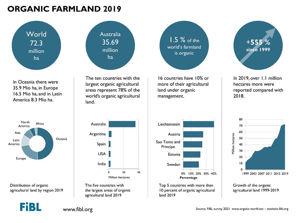 infographics-image
