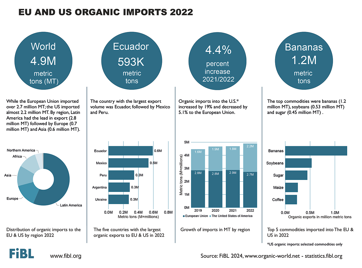 infographics-image