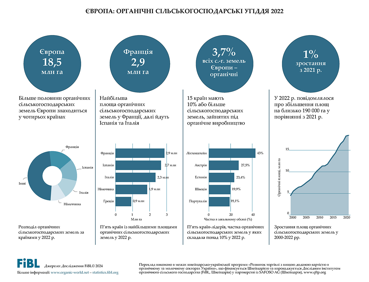 infographics-image
