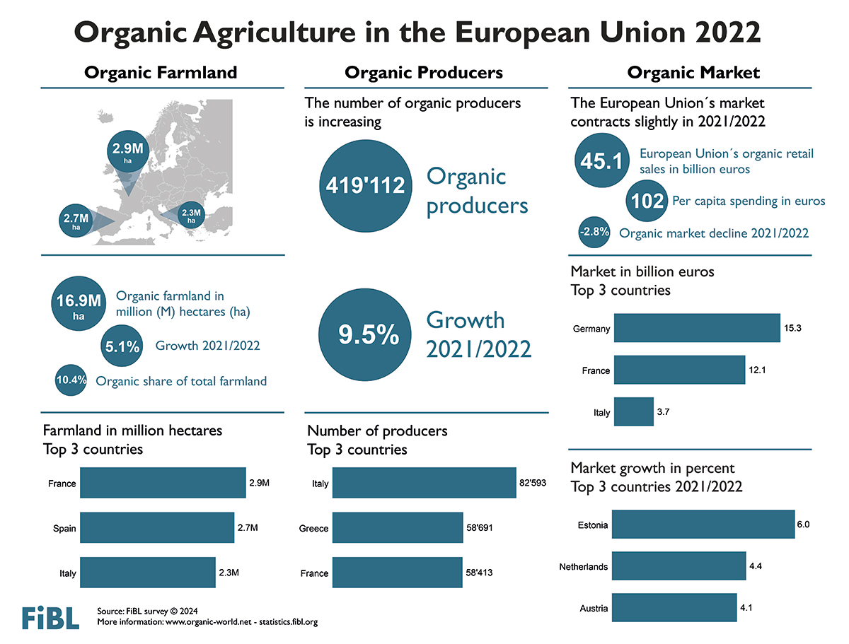 infographics-image