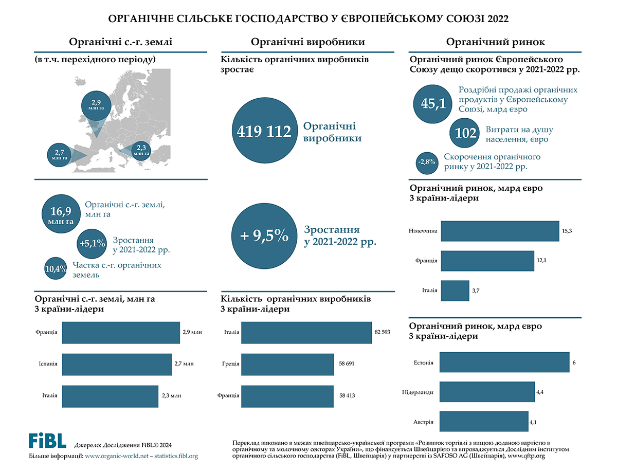 infographics-image